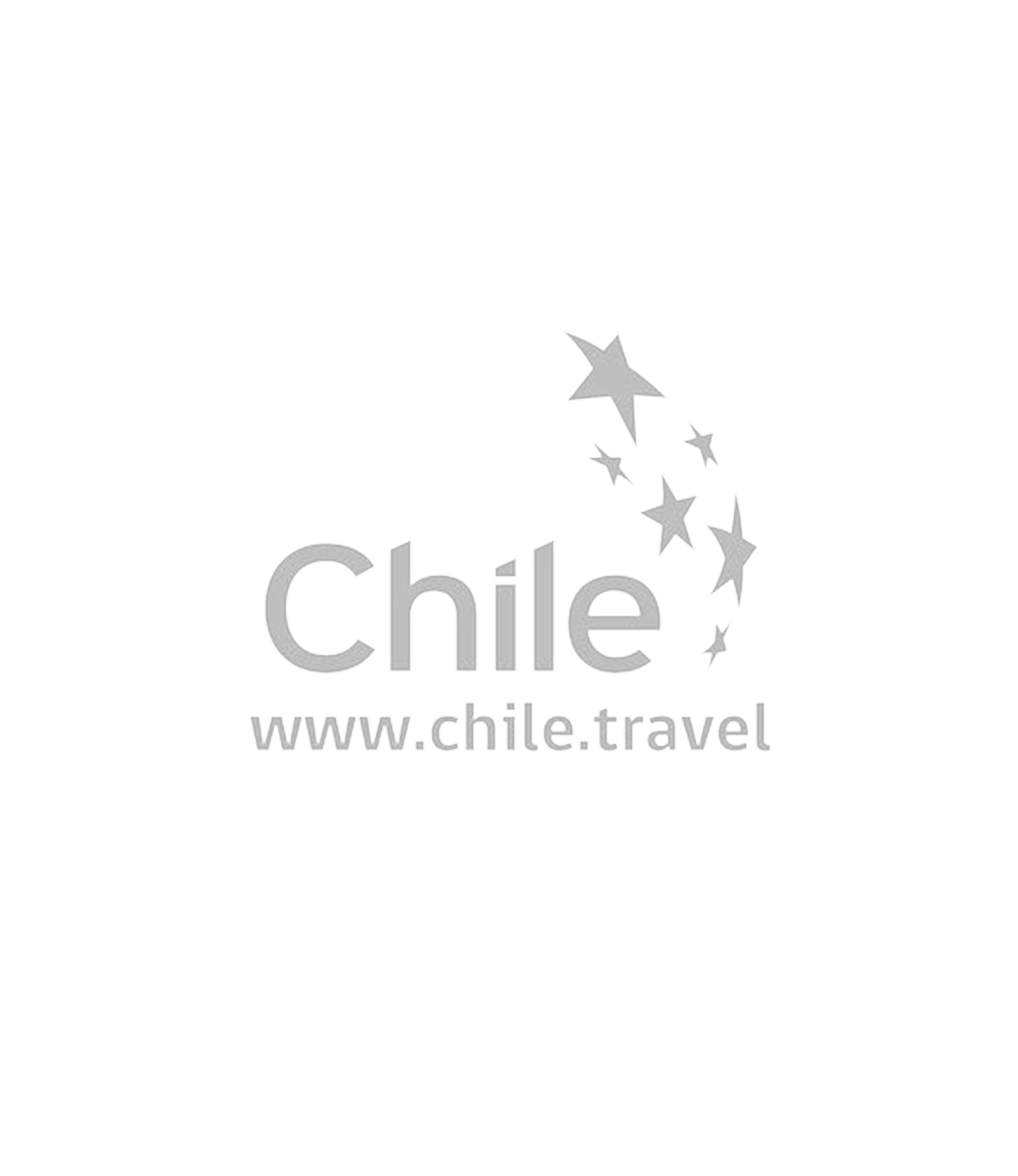 Logo Chile Gris