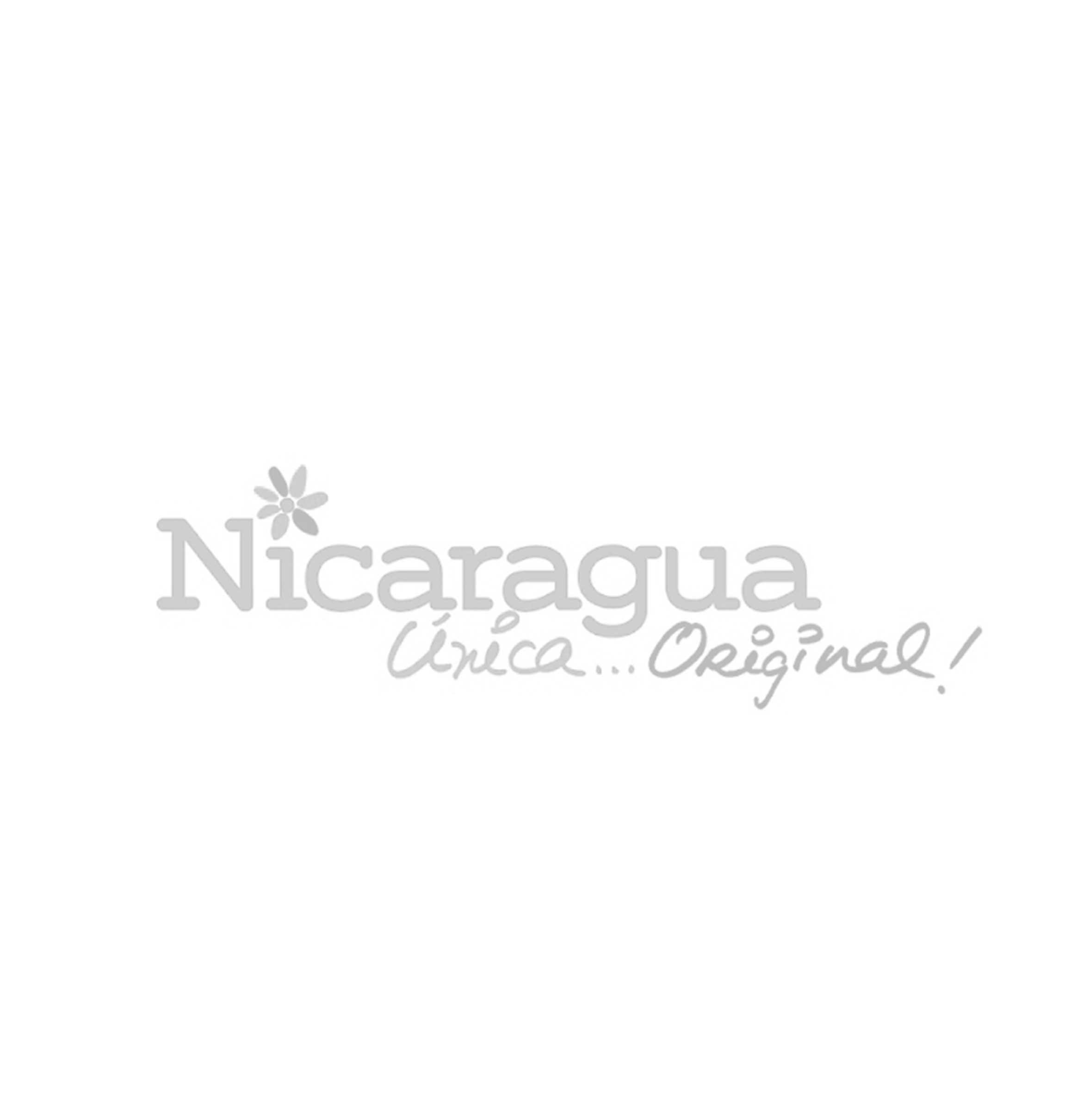 Nicaragua logo-2